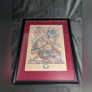 Vintage Botanical Print Robert Furber JUNE Framed Matted  H Fletcher Engraver
